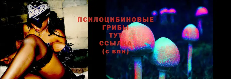 закладка  Полевской  Псилоцибиновые грибы Magic Shrooms 